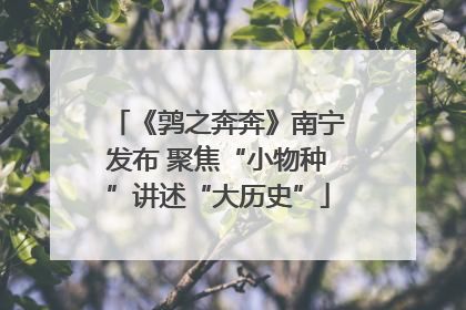 《鹑之奔奔》南宁发布 聚焦“小物种”讲述“大历史”