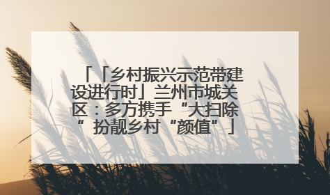 「乡村振兴示范带建设进行时」兰州市城关区：多方携手“大扫除”扮靓乡村“颜值”