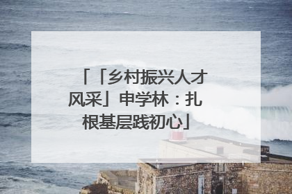 「乡村振兴人才风采」申学林：扎根基层践初心