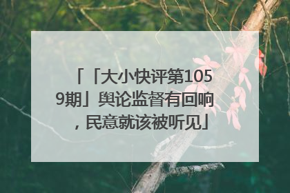 「大小快评第1059期」舆论监督有回响，民意就该被听见