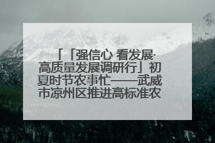 「强信心 看发展·高质量发展调研行」初夏时节农事忙——武威市凉州区推进高标准农田建设见闻