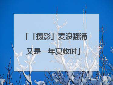 「摄影」麦浪翻涌 又是一年夏收时