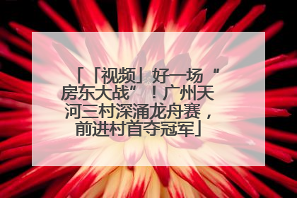 「视频」好一场“房东大战”！广州天河三村深涌龙舟赛，前进村首夺冠军