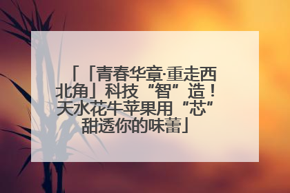 「青春华章·重走西北角」科技“智”造！天水花牛苹果用“芯”甜透你的味蕾