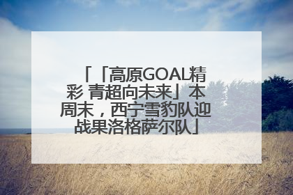 「高原GOAL精彩 青超向未来」本周末，西宁雪豹队迎战果洛格萨尔队