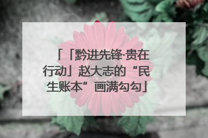 「黔进先锋·贵在行动」赵大志的“民生账本”画满勾勾