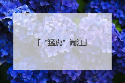 “猛虎”闹江