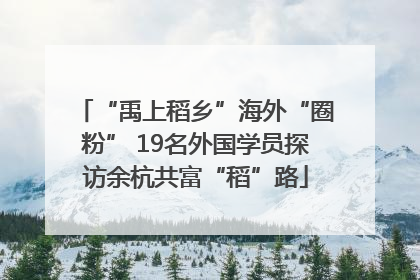 “禹上稻乡”海外“圈粉” 19名外国学员探访余杭共富“稻”路