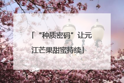 “种质密码”让元江芒果甜蜜持续