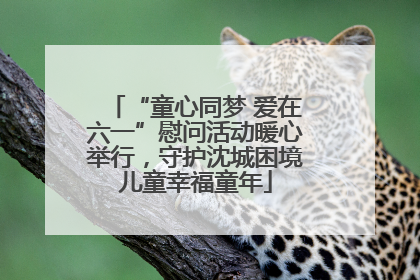 “童心同梦 爱在六一”慰问活动暖心举行，守护沈城困境儿童幸福童年