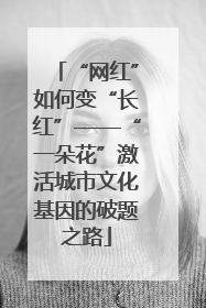 “网红”如何变“长红”——“一朵花”激活城市文化基因的破题之路