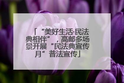 “美好生活·民法典相伴”，高邮多场景开展“民法典宣传月”普法宣传