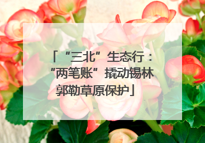 “三北”生态行：“两笔账”撬动锡林郭勒草原保护