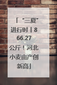 “三夏”进行时丨866.27公斤！河北小麦亩产创新高