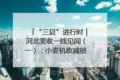 “三夏”进行时｜河北麦收一线见闻（一）：小麦机收减损“竞技” 农机高手麦田“过招”