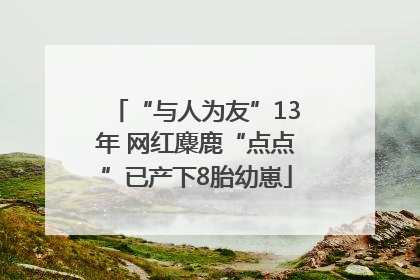 “与人为友”13年 网红麋鹿“点点”已产下8胎幼崽