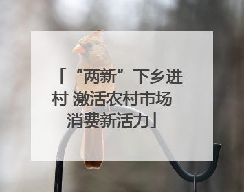“两新”下乡进村 激活农村市场消费新活力