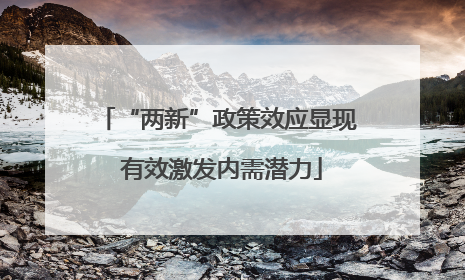 “两新”政策效应显现 有效激发内需潜力