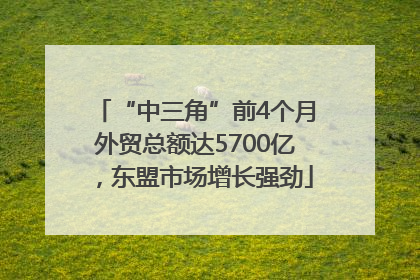 “中三角”前4个月外贸总额达5700亿，东盟市场增长强劲