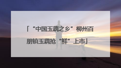 “中国玉藕之乡”柳州百朋镇玉藕抢“鲜”上市