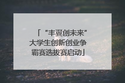 “丰翼创未来”大学生创新创业争霸赛选拔赛启动