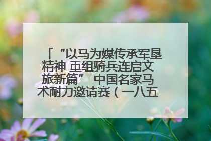 “以马为媒传承军垦精神 重组骑兵连启文旅新篇” 中国名家马术耐力邀请赛（一八五团站）暨重启骑兵连活动正式启动