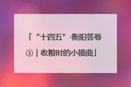 “十四五”·衡阳答卷③｜收粮时的小插曲