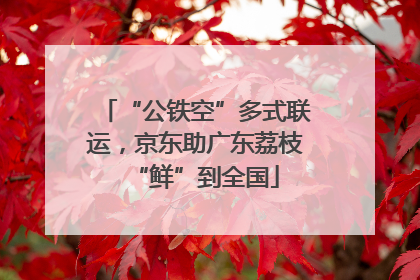 “公铁空”多式联运，京东助广东荔枝“鲜”到全国