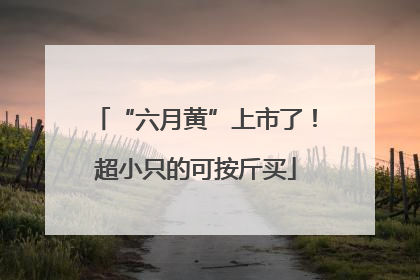 “六月黄”上市了！超小只的可按斤买