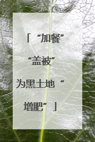 “加餐”“盖被” 为黑土地“增肥”