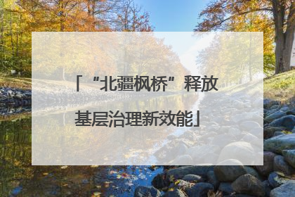 “北疆枫桥”释放基层治理新效能