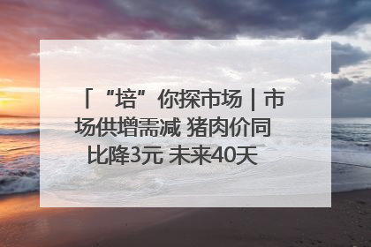 “培”你探市场｜市场供增需减 猪肉价同比降3元 未来40天便宜猪肉敞开吃