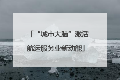 “城市大脑”激活航运服务业新动能