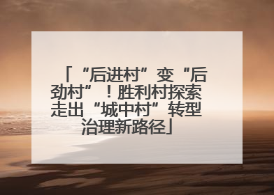“后进村”变“后劲村”！胜利村探索走出“城中村”转型治理新路径