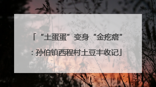 “土蛋蛋”变身“金疙瘩”：孙伯镇西程村土豆丰收记