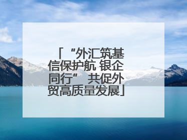“外汇筑基 信保护航 银企同行” 共促外贸高质量发展