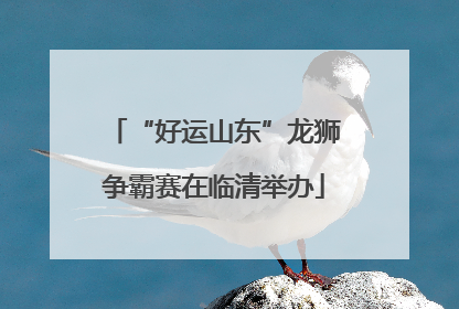 “好运山东”龙狮争霸赛在临清举办
