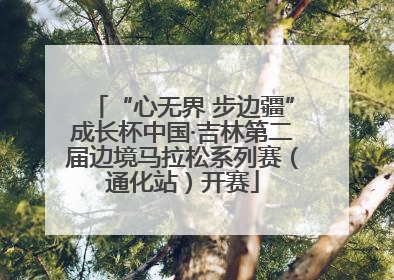 “心无界 步边疆”成长杯中国·吉林第二届边境马拉松系列赛（通化站）开赛
