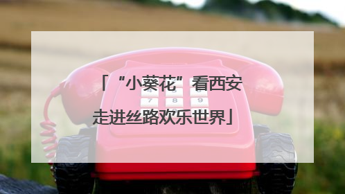 “小葵花”看西安走进丝路欢乐世界