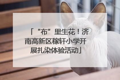“布”里生花！济南高新区稼轩小学开展扎染体验活动