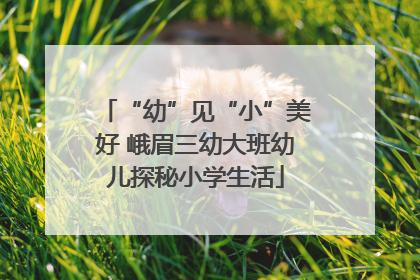 “幼”见“小”美好 峨眉三幼大班幼儿探秘小学生活