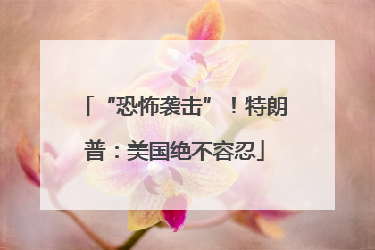 “恐怖袭击”！特朗普：美国绝不容忍