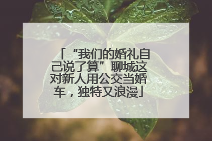 “我们的婚礼自己说了算”聊城这对新人用公交当婚车，独特又浪漫