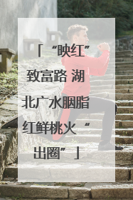 “映红”致富路 湖北广水胭脂红鲜桃火“出圈”