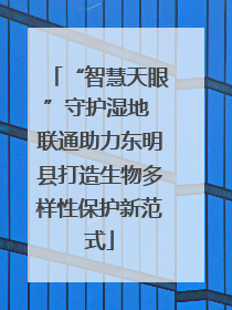 “智慧天眼”守护湿地 联通助力东明县打造生物多样性保护新范式