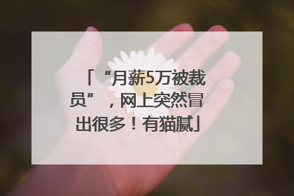 “月薪5万被裁员”，网上突然冒出很多！有猫腻