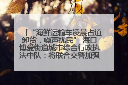 “海鲜运输车凌晨占道卸货，噪声扰民” 海口博爱街道城市综合行政执法中队：将联合交警加强长堤路一带巡逻
