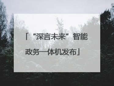 “深言未来”智能政务一体机发布