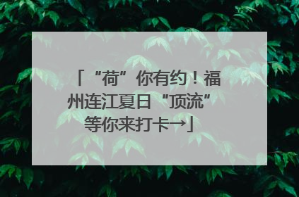 “荷”你有约！福州连江夏日“顶流”等你来打卡→