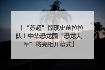 “苏超”惊现史前拉拉队！中华恐龙园“恐龙大军”将亮相开幕式